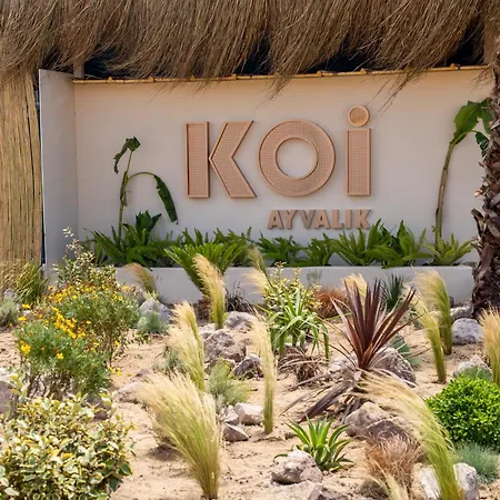 Koi * Ayvalı